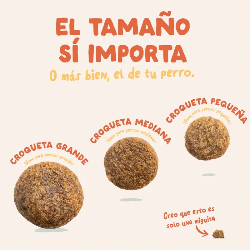 Edgard & Cooper Mini Croquettes pour chien adulte avec poulet frais , 3 kg - Image 6