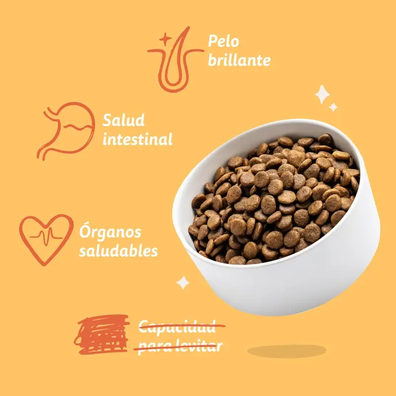 Edgard & Cooper Mini Croquettes pour chien adulte avec poulet frais , 3 kg - Image 7