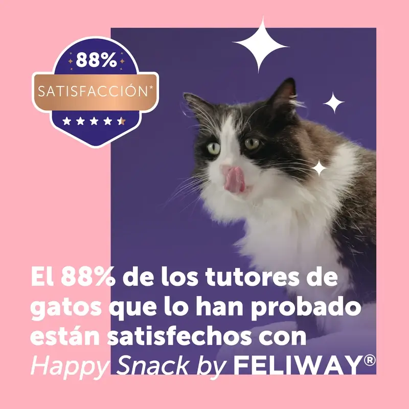 Feliway Happy Snack Goût saumon, 24 sachets - Image 4