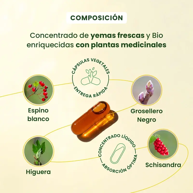 Herbalgem Gemmocaps Stress Protect Relax, 30 gélules - Image 4