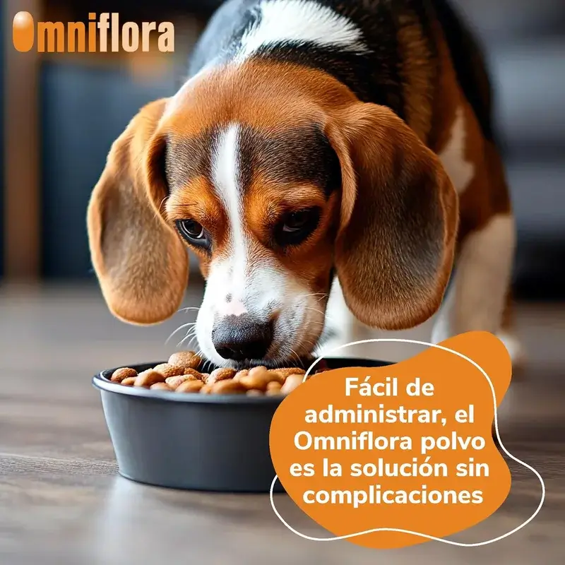Omniflora Oral Powder, 30 Sachets x 2 grammes - Image 3