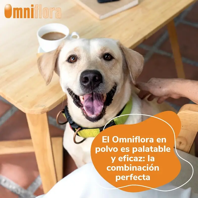 Omniflora Oral Powder, 30 Sachets x 2 grammes - Image 5