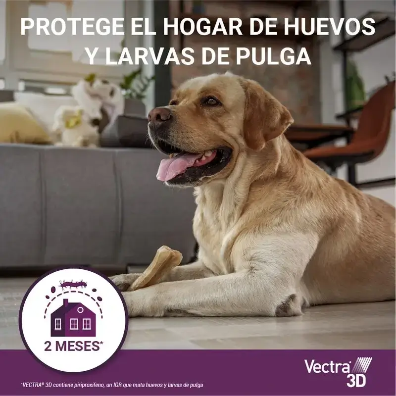 Vectra 3D Dog 1,5-4 Kg, Pack 2 x 3 Pipettes - Image 7